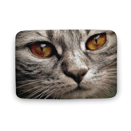 L   oX}bg z/唻 փ}bg  O    ~ Aj LN^[ @}bg   ʏ