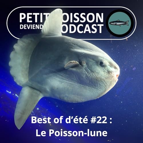 『BEST OF D'ÉTÉ #22 : Le Poisson-lune : Un géant qui commence sa vie en forme d'étoile』のカバーアート
