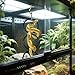 pranovo Snake Climbing Rings for Ball Python Enrichment Climbing Toys for Corn Snake Reptiletank Cage Decor Habitat Accessories Snake Climber