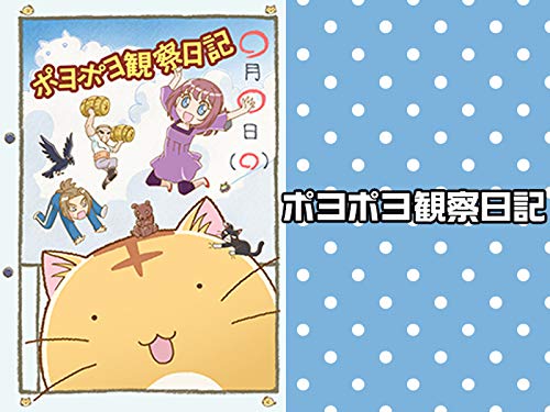 ポヨポヨ観察日記