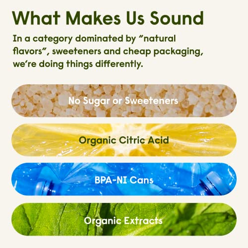 Sound Sparkling Water W/Organic Tea & Botanicals thumb #4
