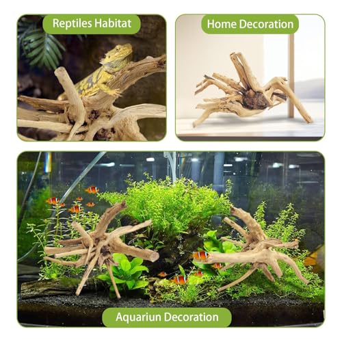 Tfwadmx Natural Driftwood for Aquarium, 11-13 inch Reptile Branches Terrarium Wood Aquarium Trunk Driftwood Tree Fish Tank Log Decoration Pack of 2 - Thumbnail 3
