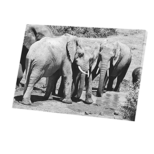 Tableau Éléphant au Point d'Eau Noir et Blanc 45x30cm