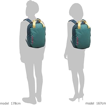 Amazon.co.jp: [パタゴニア] リュック バックパック トートバッグ