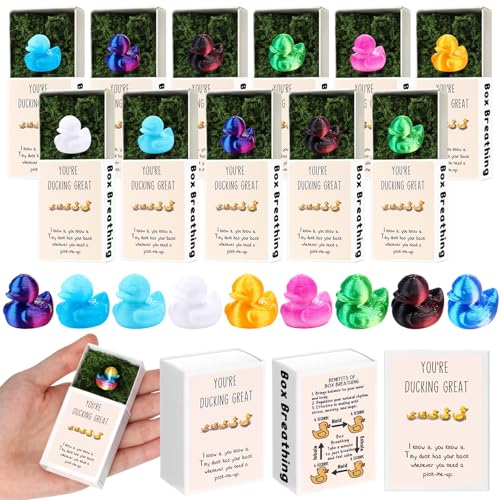 Wonderjune 30 Sets Emotional Support Gifts Bulk for Coworkers Cna Week Teachers End of Year Gift Emotional Support Mini Animals in a Box with Positive Card for Nurse Office Staff (Metallic Duck) by Wonderjune - Used condition - US$13.43