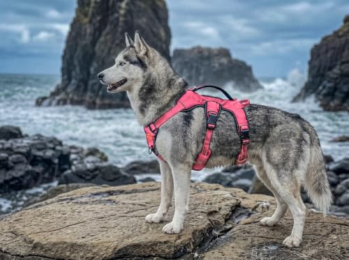Image of Tuff Pupper Escape Proof No Escape Dog Harness | 5 Point Adjustable Fit Harness for Dogs | Padded Dog Harnesses | Handle Dog Lift Harnesses