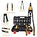 VIGRUE 16'' Rivet Nut Tool Kit Nutserts Rivnut Hand Tool Set with 15PCS Metric & SAE Mandrels and 300PCS Rivet Nuts Assortment