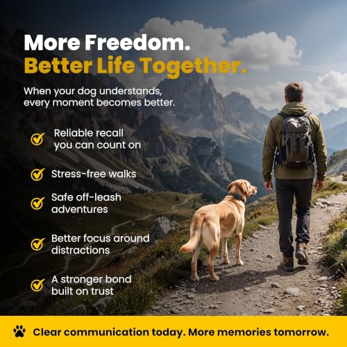 Educator ET-300 Mini E Collar for Dog Training with Remote - 1/2 Mile Range, Waterproof, 100 Blunt Stimulation Levels, Tone or Vibration Mode, Night Light Tracking for Small, Medium & Large Dogs