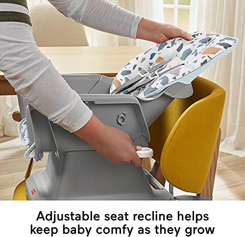 Fisher-Price Spacesaver Simple Clean High Chair Baby To Toddler Portable Dining Seat With Removable Tray Liner, Pacific Pebble #TOP4