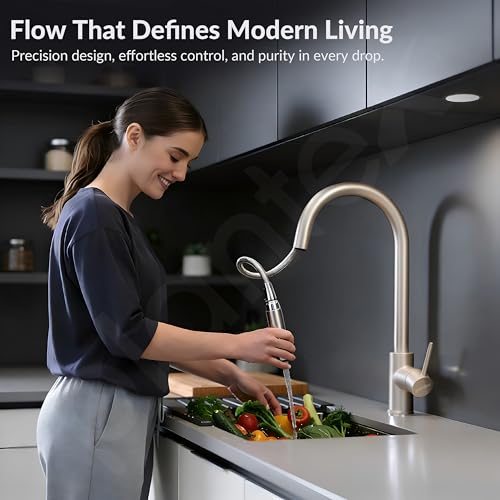 Image of Plantex Pull-Down Kitchen Sink Tap /304 Stainless Steel Sink Tap for Kitchen Basin with 360⁰ Swivel Spout /Kitchen Sink Faucet- (1062, Matt)