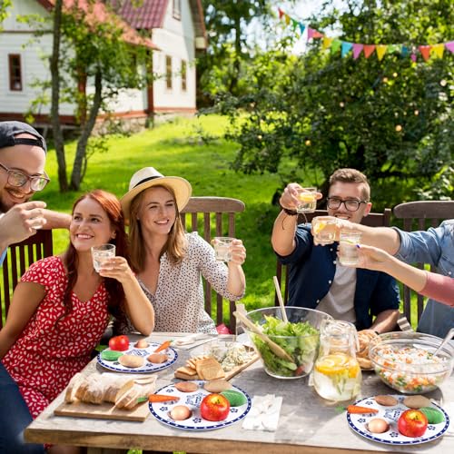 Foilswirl 6 Pieces Passover Seder Plates 12 Inch Pesach Plates Set Elegant Blue Renaissance Design Round Seder Tray Marked with Traditional Food for Passover Gifts Adults Kids