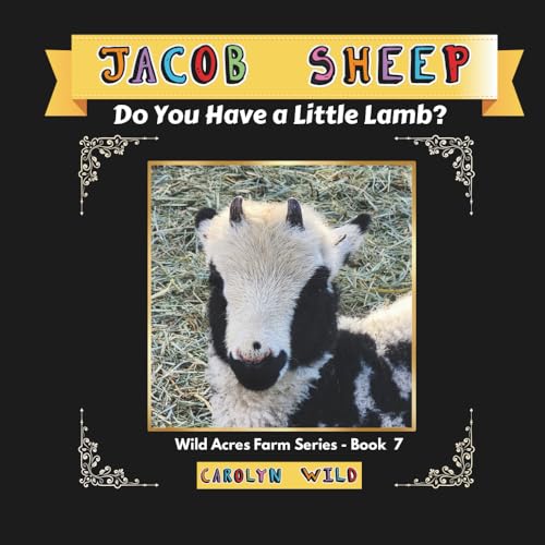 Jacob Sheep: Do You Have A Little Lamb?: 7