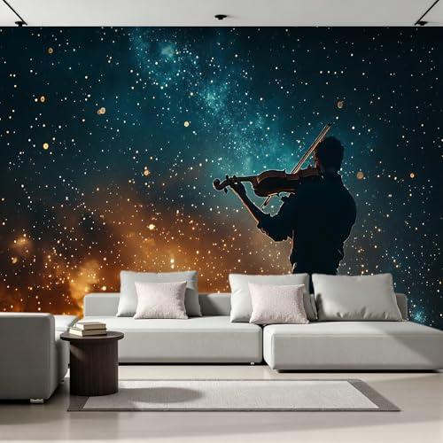 Papier peint intissé violon 3D moderne effet panoramique unique