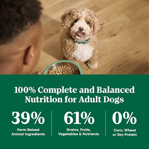 Nutro Natural Choice Small Bites Dry Dog Food, Lamb & Rice, 5 lb - image 8
