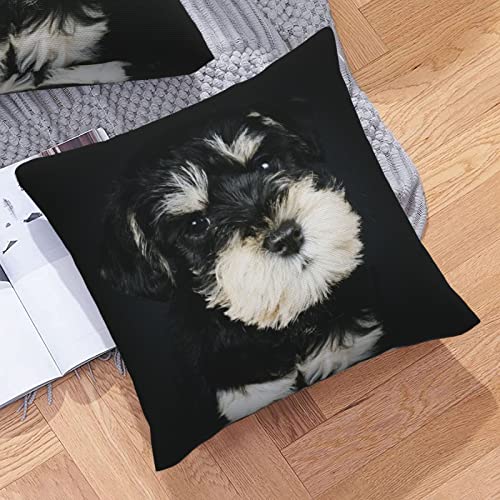 クッションカバー リネンっぽい 45 × 45CM 北欧 おしゃれ シンプル ミニチュア・シュナウザーの子犬 ソファ背当て 装飾枕カバー 座布団カバー 装飾枕 雰囲気 部屋飾り 洋室 車用 上質