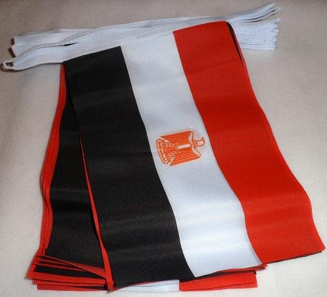 AZ FLAGEgypt Flag Garland 6 Metres 20 Flags 21 x 15 cm - Egyptian Flag 15 x 21 cm