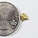 Alaskan-Yukon BC Gold Rush Natural Gold Nugget 0.25 Grams Genuine