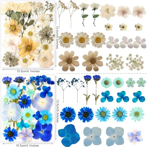Image of 221PCS Real Nature Dried Pressed Flowers for Resin Craft, Dry Pressing Floral with Butterfly Transparent Stickers Set for DIY Jewelry Making Nail Card Scrapbook Art Eternity Summer