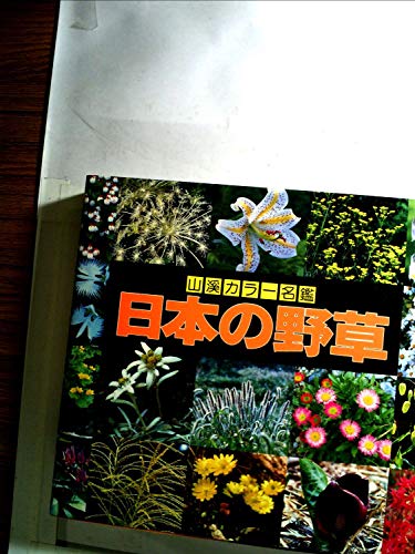 無料電子書籍 pdf 日本の野草 (山渓カラー名鑑) バイ