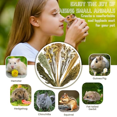 Image of Sukh 47pcs Hamster Sprays - Natural Flower Herb Bedding Forage Mix for Cage