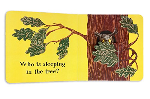Who Is Sleeping? (A Lift the Flap Book) - Image 2