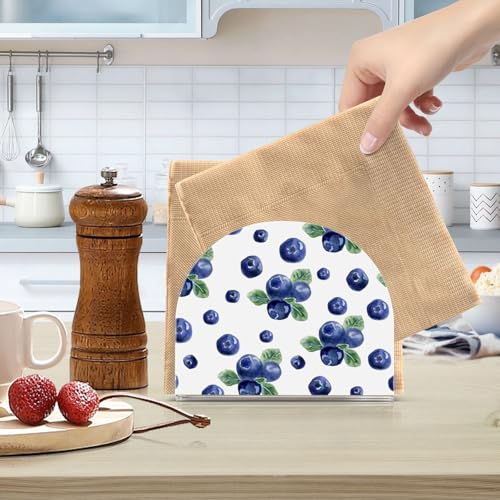 Hxshaoye Delicious Fruit Blueberry Acrylic Flat Napkin Holder For Outdoors thumb #5