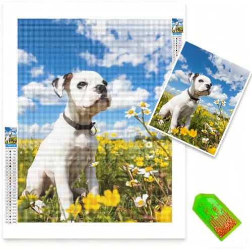Diamond Painting Personnalisé 50x70cm Broderie Diamant Peinture Kit Complet Photo 0b-237