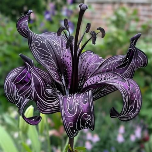 FáCil De Mantener lilium Rara Crea RáPidamente Un Hermoso JardíN 2pezzo A