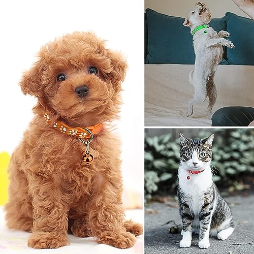 Image of KsPups Puppy Collars Paw Print Quick Release I Adjustable Leash Safety Collars for Puppy Cats I 2-Pcs (Paw Print 10mm)