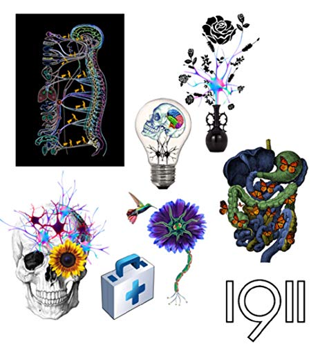 Nerve Pack - Stickers (8), Unique Nerve Variety Pack, Creative Bio Science Gift