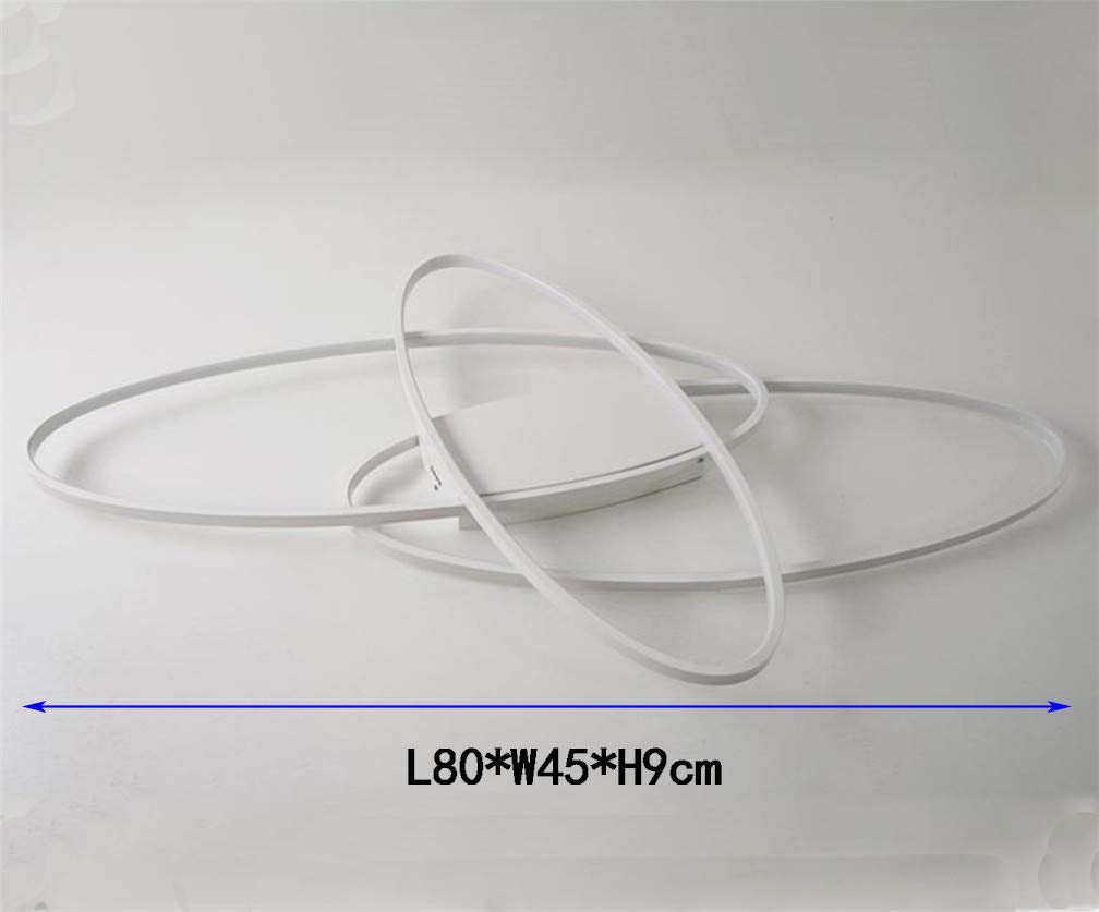 LED Plafondlamp Woonkamer Metalen Verlichting Dimbaar met Afstandsbediening Ring Ceiling Light Acryl Hanglamp voor Slaapkamer Studeerkamer Kinderkamer