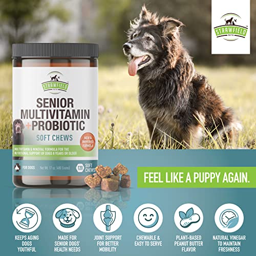 Senior Dog Multivitamin + Dog Probiotics Soft Chews | Glucosamine Chondroitin, Probiotics, Omega 3 | Senior Dog Supplements & Vitamins | Senior Dog Health Supplies #TOP7