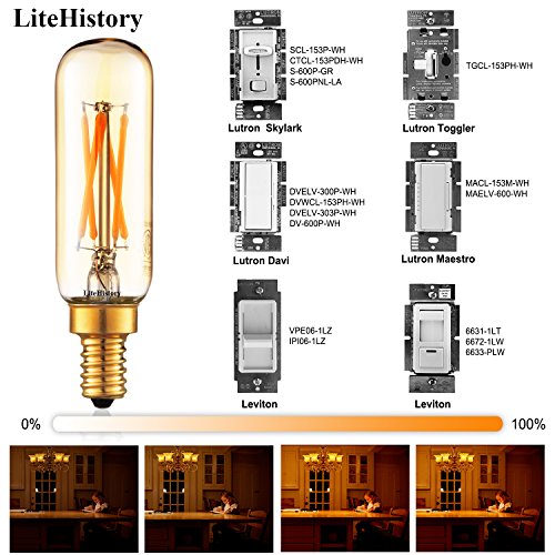 Litehistory Dimmable T6 Led Bulb 40W Candelabra Led 2200K Amber 250Lm 4W E12 T25 Led Bulb 6Pack #TOP1