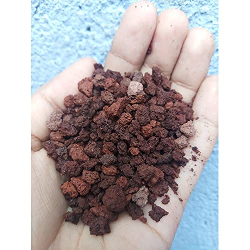 VAYINATO Petzlifeworld Aquarium Red Lava Chips For Aquarium Base As Power Sand And For Indoor Plants(2Kg) 2