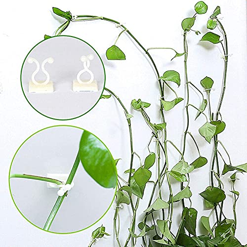 DELFINO Invisible Plant Wall Climbing Fixing Clips, Self-Adhesive Wall Rattan Fixing Device Sticky Hook Plant Support Binding Clip Vines Holder Garden Ties Plant Clips for Home Garden (50pcs, White M)