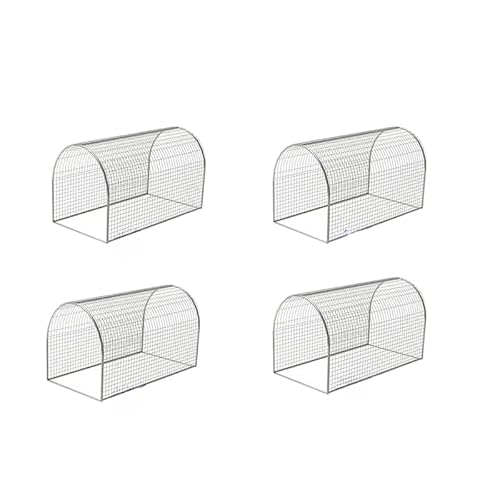 ԁA{AETM̒ʘHA{̃glAMumuElf A_̉O{AA_ƁA (4m+???)