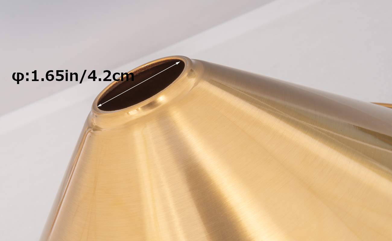 Amazon.co.jp: Venus 交換用 ランプシェード ライトパーツ 鉄