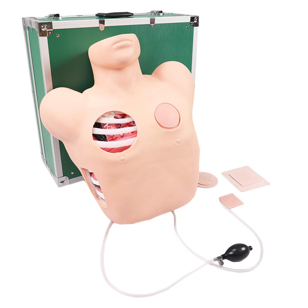 LUCKFY Thoracic Cavity Drainage Puncture Training Model Manikin Training Human Anatomy Model Medical Educational Training Aid