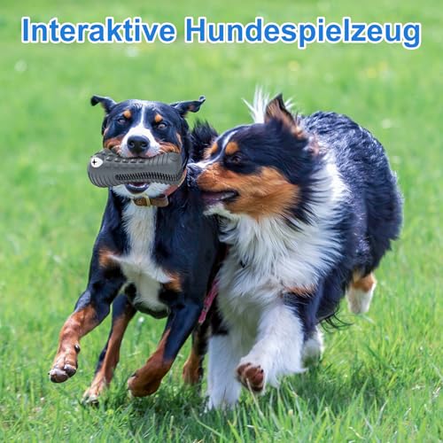HETOO Hundespielzeug für Aggressives Kauen, Kauspielzeug Hund Fast Unzerstörbar, Quietschend Hunde Spielzeug Für Mittelgroße Hunde, Robuster Langlebig Gummi Dog Toys (Krokodil)