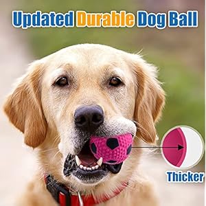Soft Squeaky Dog Ball 2.56”, Latex Squeaky Dog Toys for Medium Dogs and Small Dogs to Fetch, Chase 3pcs (2.56inch, for Medium Breeds)