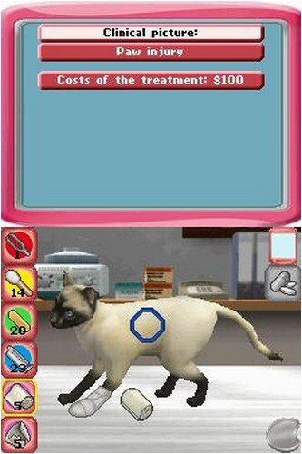 Paws & Claws Pet Vet Healing Hands - Nintendo DS (Renewed)