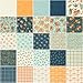 I Love Fall Charm Pack by Deb Strain; 42-5-inch Precut Fabric Quilt Squares