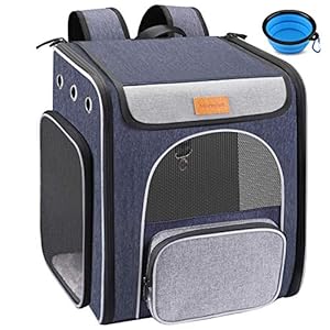 morpilot Mochila para Gatos, Mochila de Transporte Plegable para Gatos y Perros, tamaño pequeño para Acampar y Viajar, Mochila Transpirable para Perros con Correa Interna y Cuenco Plegable