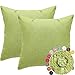 JOTOM Juego de 2 Fundas de Cojín Impermeables para Exterior 45x45cm Funda de Almohada Resistentes al Agua Decoración de Sofá para Jardín Banco Patio (Verde)