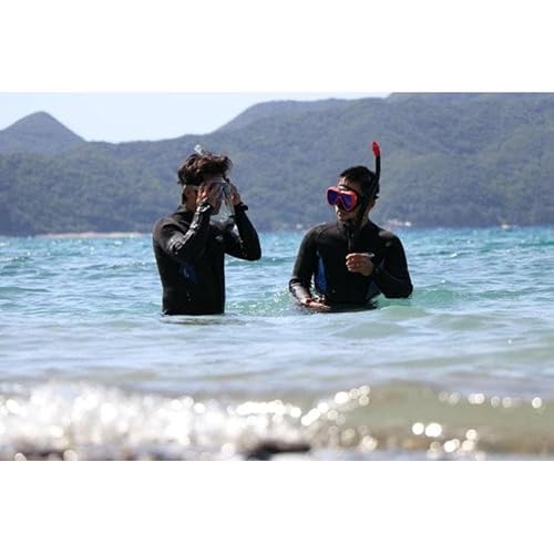 お手軽!奄美大島ビーチシュノーケリング