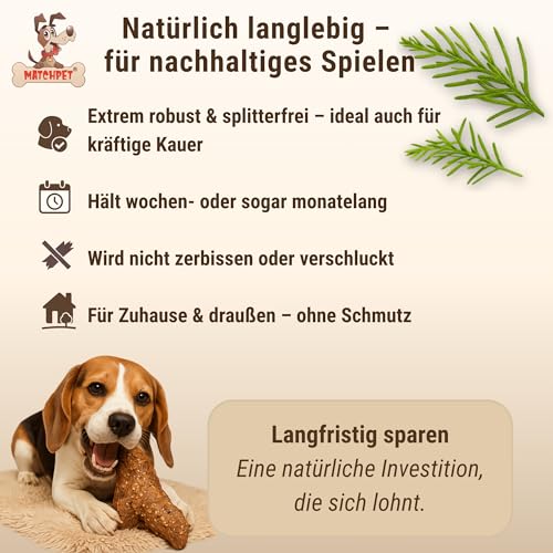 Kauwurzel für Hunde aus Baumheide Natürlicher Kausnack aus Hartholz Langlebig & splitterfrei Extra Kleine 2 Stück