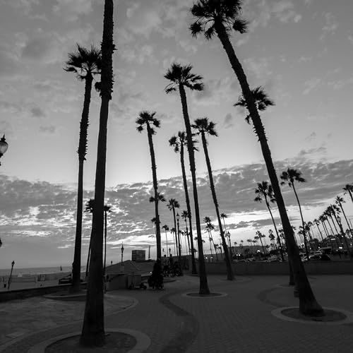 Moment 18mm Wide Lens