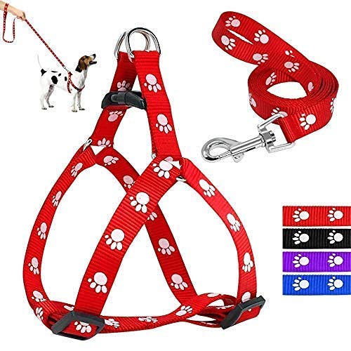 PSK PET MART Nylon Puppy/Cat/Dog Pet Harness 15mm Leash Set Printed Walking Adjustable (Color and Print May Vary) Size- Medium PSK PET MART Nylon Puppy/Cat/Dog Pet Harness 15mm Leash Set Printed Walking Adjustable (Color and Print May Vary) Size- Medium