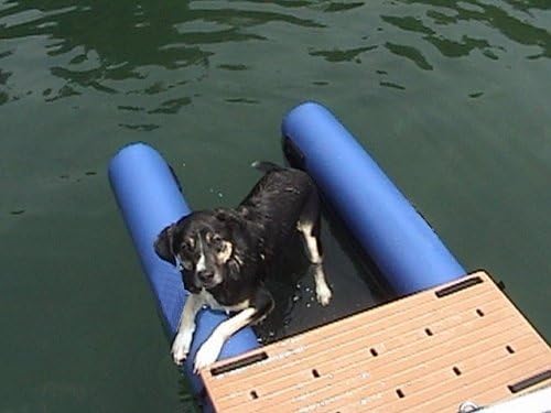 MEIREN Dog on Water ramp - Blue