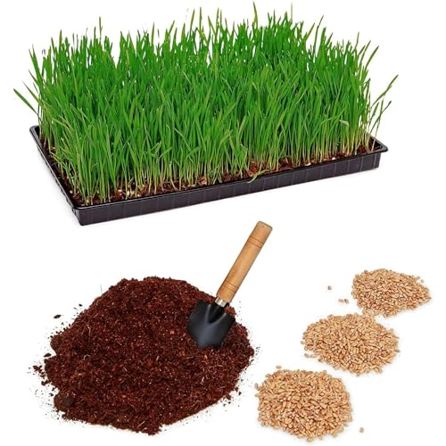 Microgreens: Dalla Semina Al Guadagno. E-book Scaricabile - Foto 6